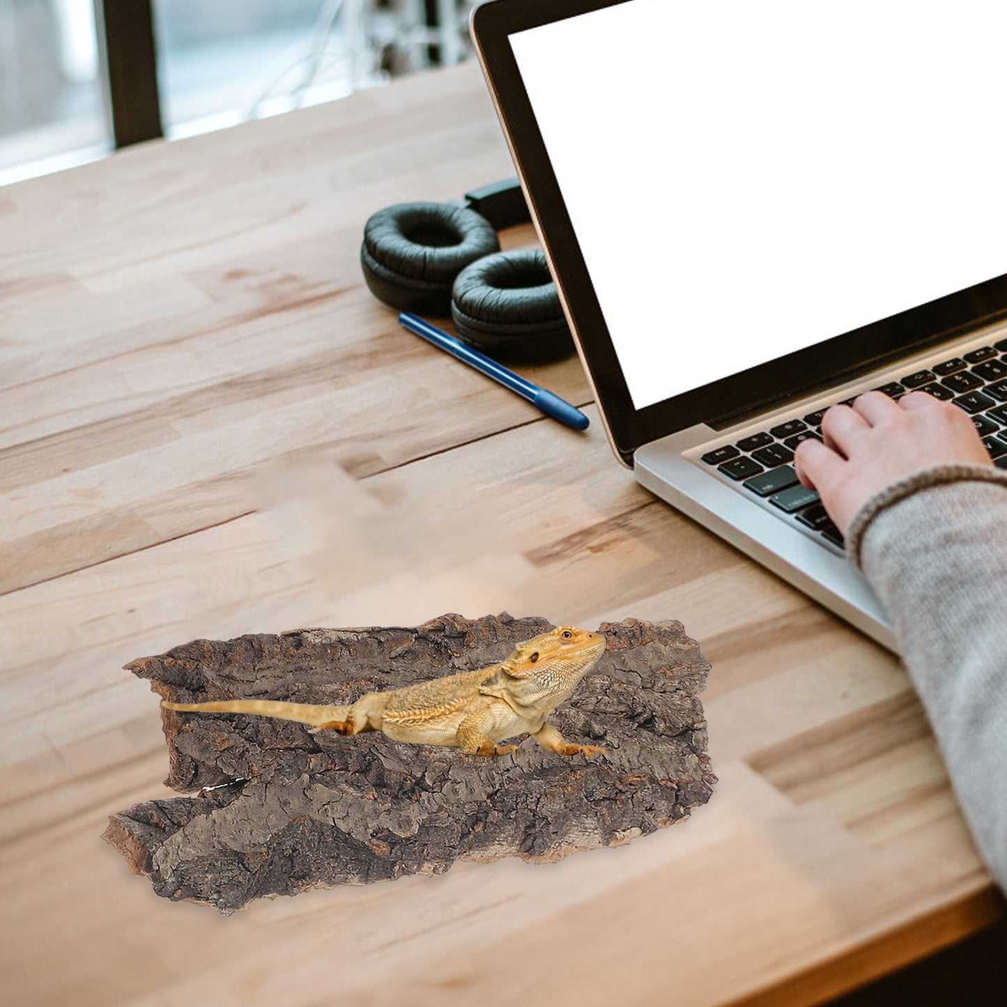 4Pcs Natural Cork Bark – Flat Reptile Terrarium Background & Climbing Decor