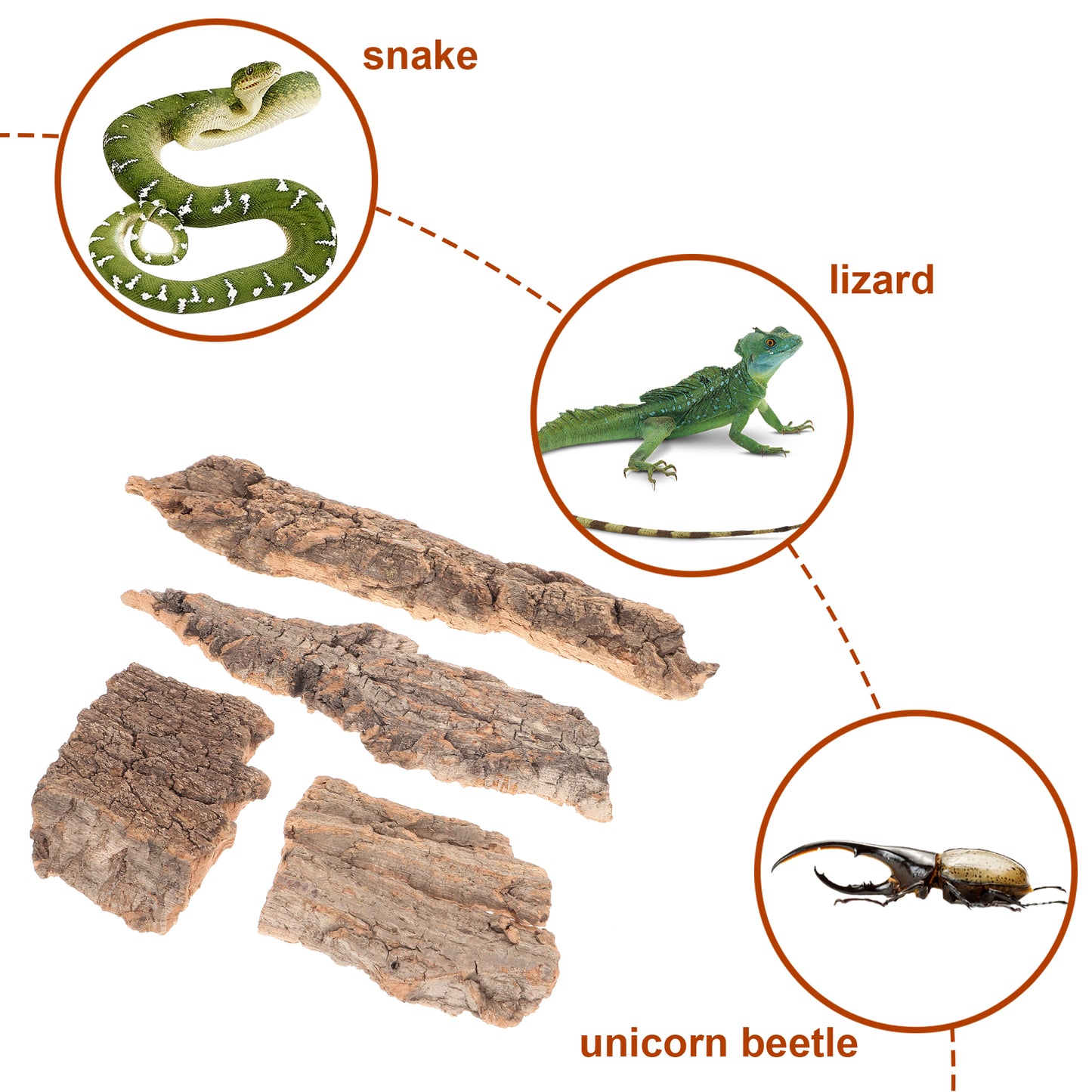 4Pcs Natural Cork Bark – Flat Reptile Terrarium Background & Climbing Decor