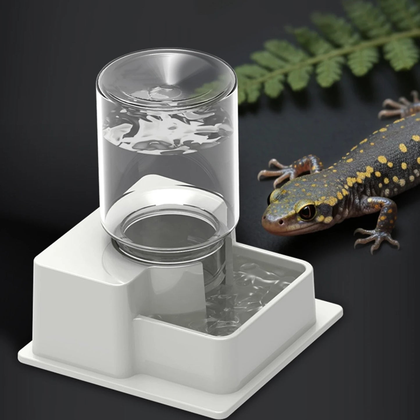 Automatic Reptile Water Dispenser – Bottle Dish for Lizards, Turtles & Amphibians