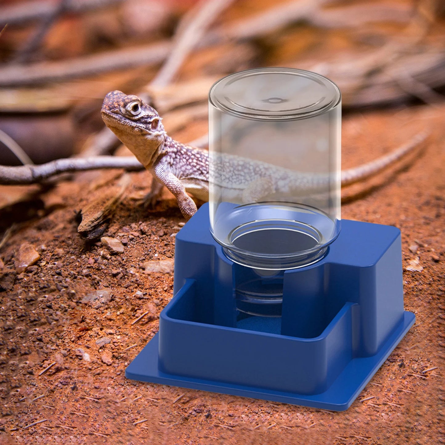 Automatic Reptile Water Dispenser – Bottle Dish for Lizards, Turtles & Amphibians