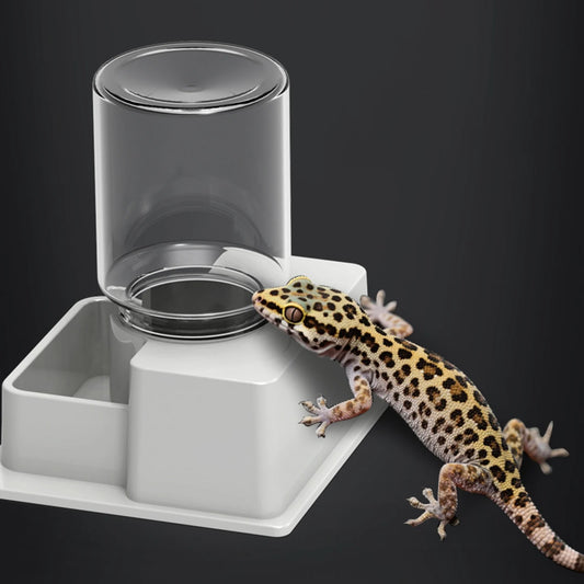 Automatic Reptile Water Dispenser – Bottle Dish for Lizards, Turtles & Amphibians