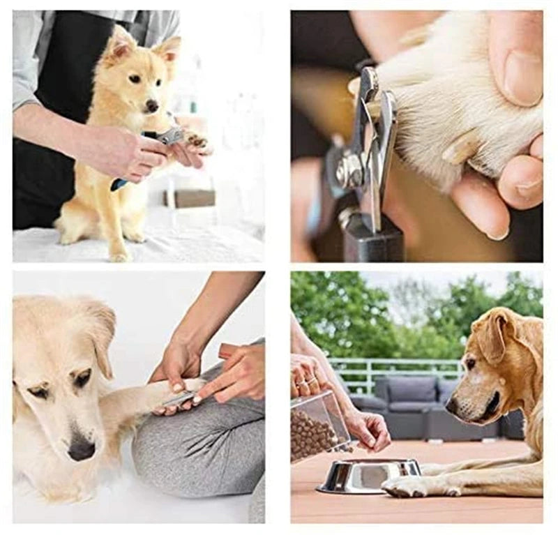Professional Pet Nail Clipper – Safety Guard & Stainless Steel Blades