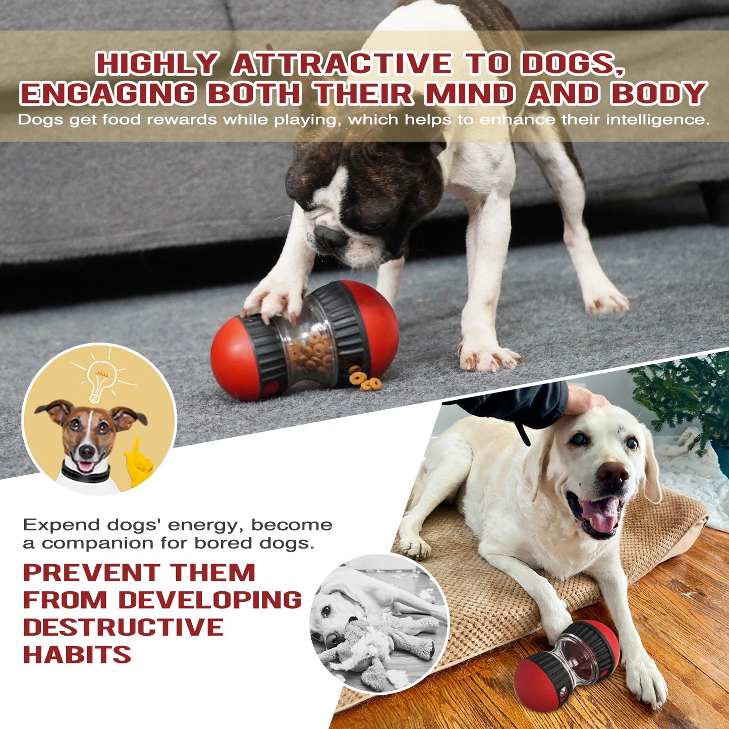 IQ Training Dog Toy – Slow Feeder for Small to Large Dogs, Indoor Puppy Toy