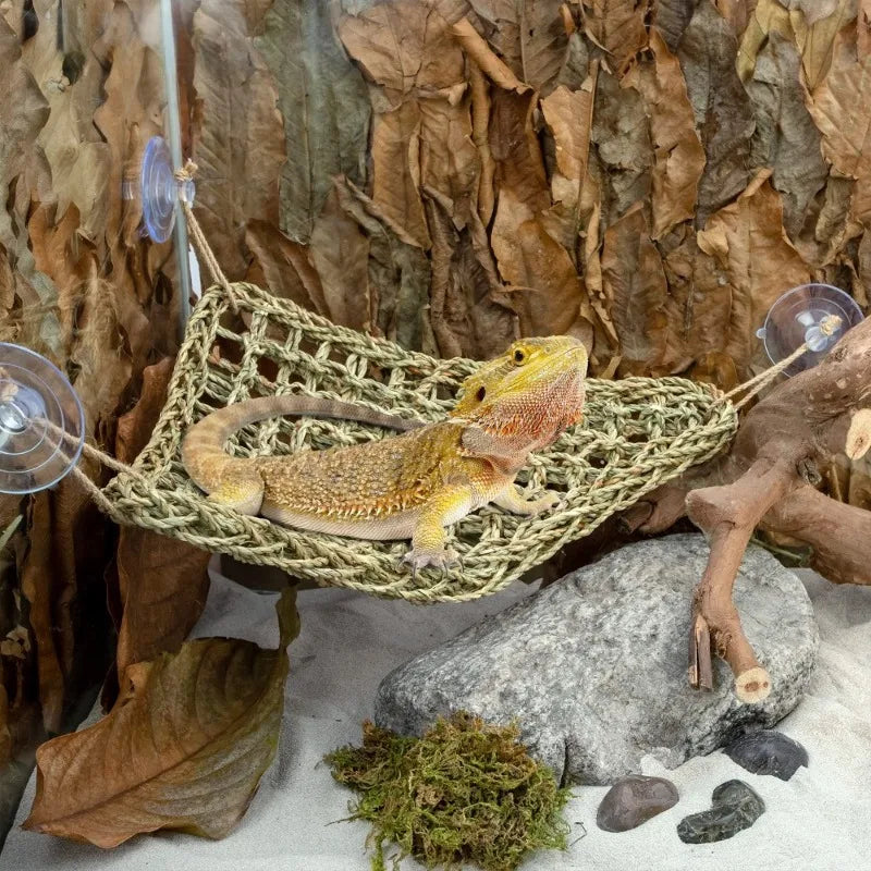 Hammock – Reptile Lounger Bed for Lizards, Geckos & Snakes
