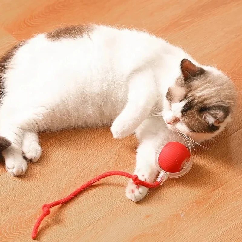 Rechargeable Smart Cat Ball – Automatic Rolling Toy with Teaser & Sensor