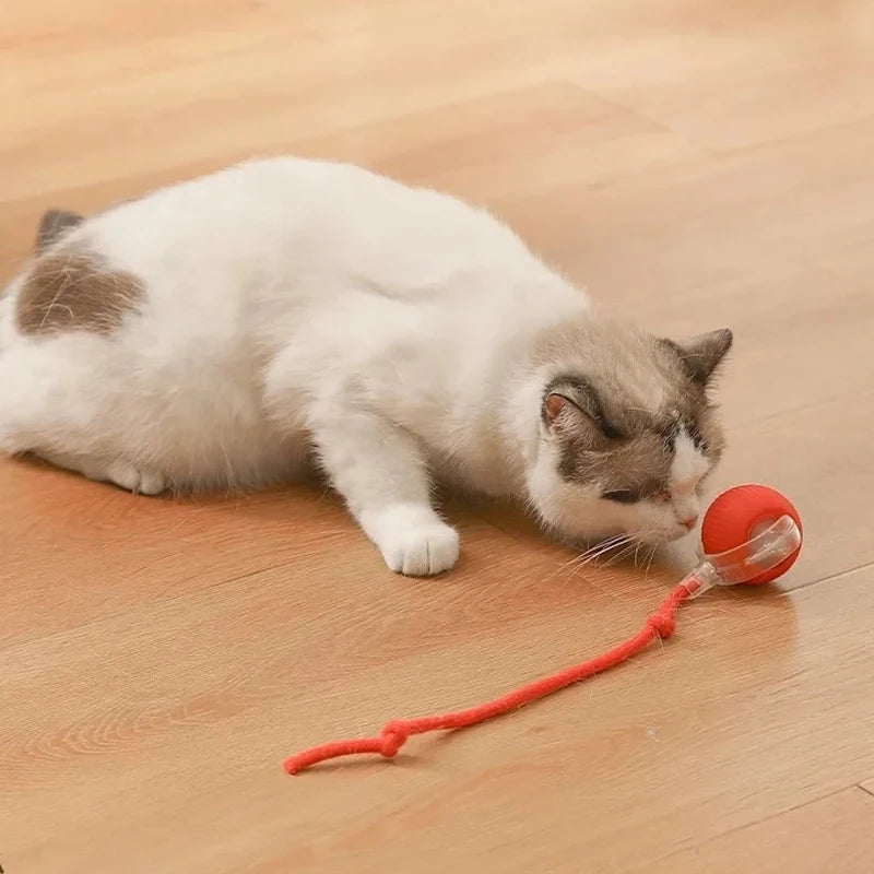 Rechargeable Smart Cat Ball – Automatic Rolling Toy with Teaser & Sensor