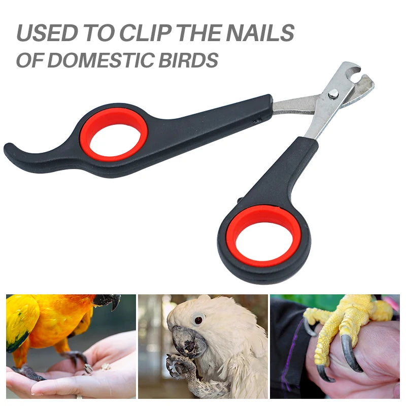 Bird Nail Clippers – Parrot Nail Trimmer Scissors for Safe Claw Grooming & Cutting