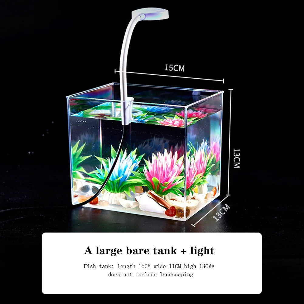 Aquarium Starter Kit – Square Tank with Clamp Light for Desk Decor