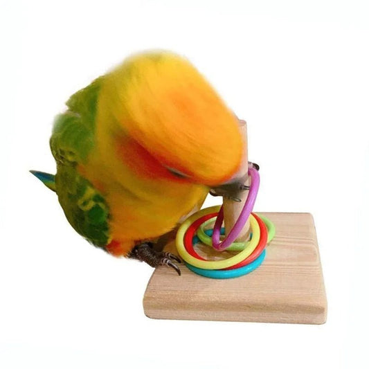 Parrot Training Ring Toy – Interactive Educational Bird Toy - The Best For Pets
