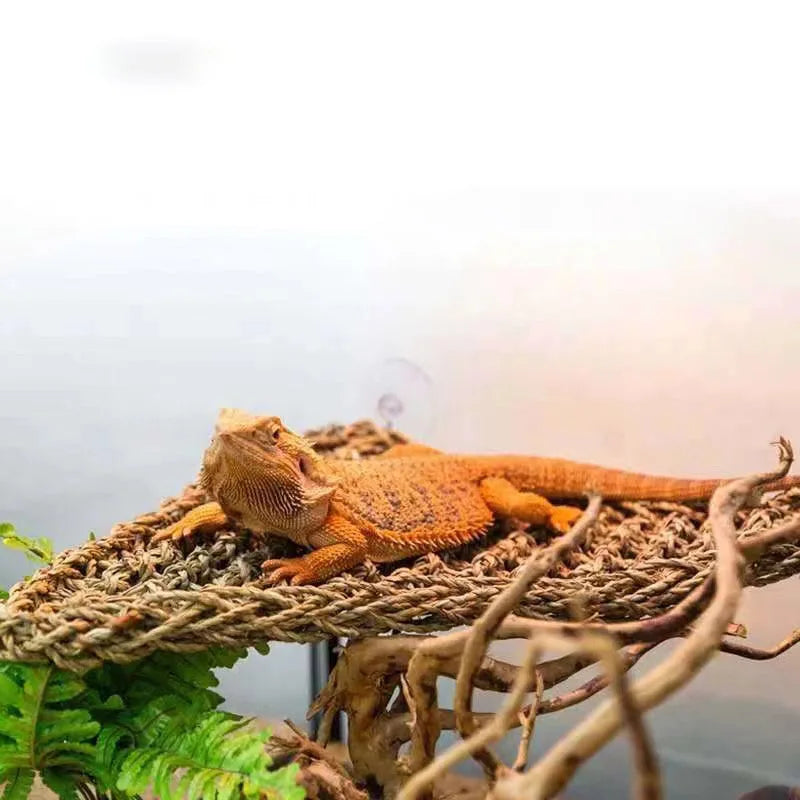 Hammock – Reptile Lounger Bed for Lizards, Geckos & Snakes