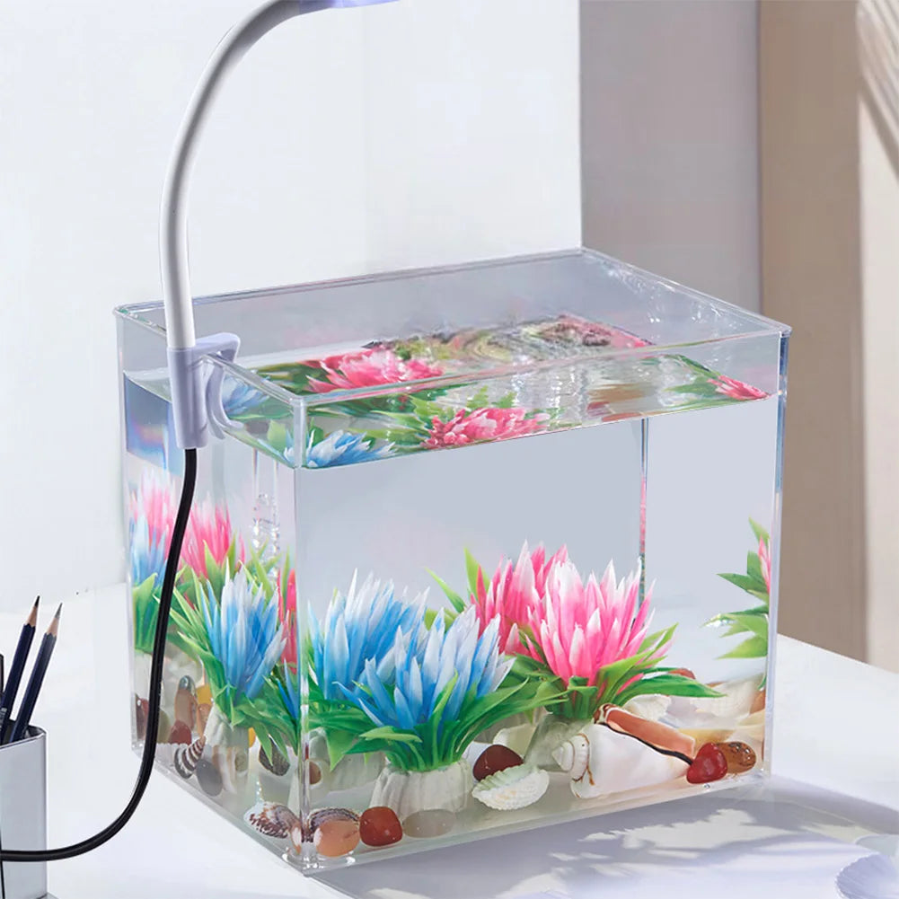 Aquarium Starter Kit – Square Tank with Clamp Light for Desk Decor
