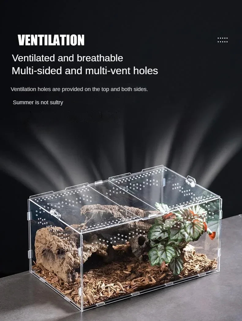 Acrylic Reptile Terrarium – Nano Breeding Box for Spider, Scorpion & Lizards