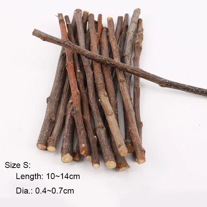 Apple Tree Chew Sticks – Natural Grinding Toys for Hamsters, Rabbits & Parrots