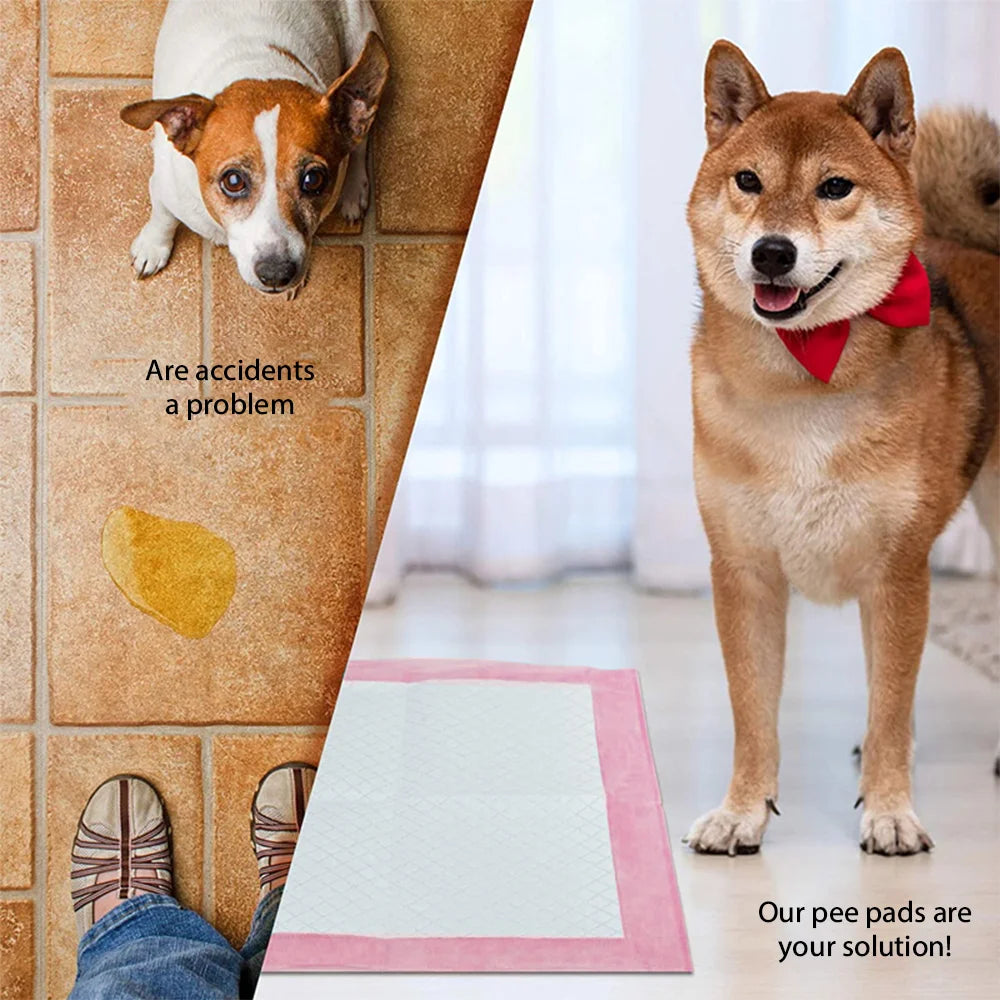 Quick-Dry Leak-Proof Puppy Training Mats