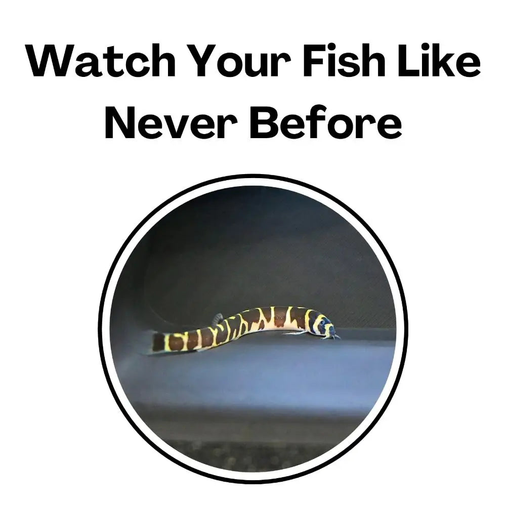 Aquarium Tunnel Cave – Curved Under Gravel Fish Tank Decoration