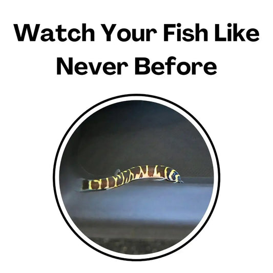 Aquarium Tunnel Cave – Curved Under Gravel Fish Tank Decoration