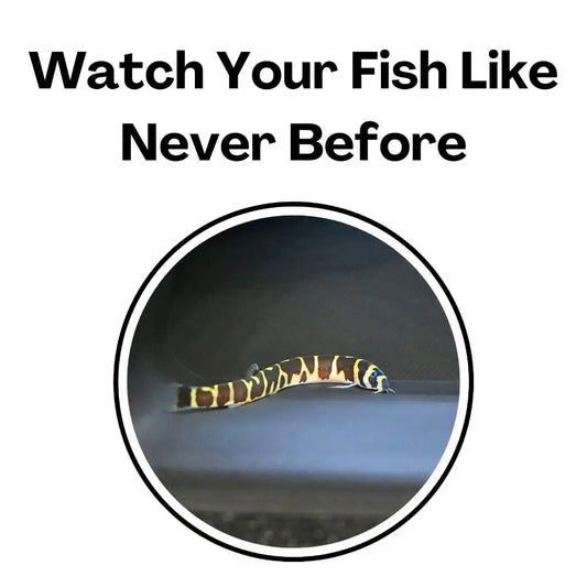 Aquarium Tunnel Cave – Curved Under Gravel Fish Tank Decoration - The Best For Pets
