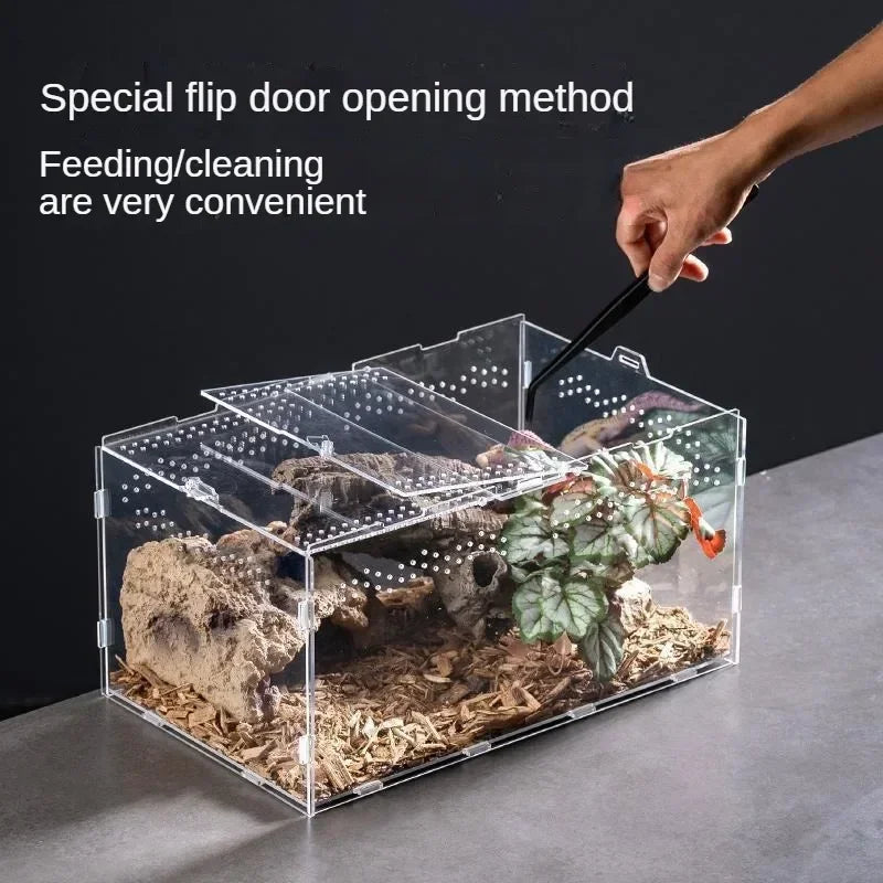 Acrylic Reptile Terrarium – Nano Breeding Box for Spider, Scorpion & Lizards