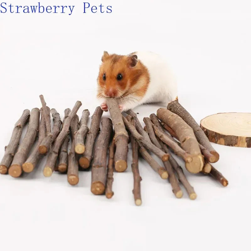 Apple Tree Chew Sticks – Natural Grinding Toys for Hamsters, Rabbits & Parrots