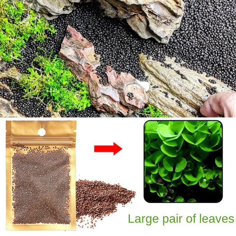 Aquarium Plant Soil – Fertile Substrate for Fish Tank Plants & Decor