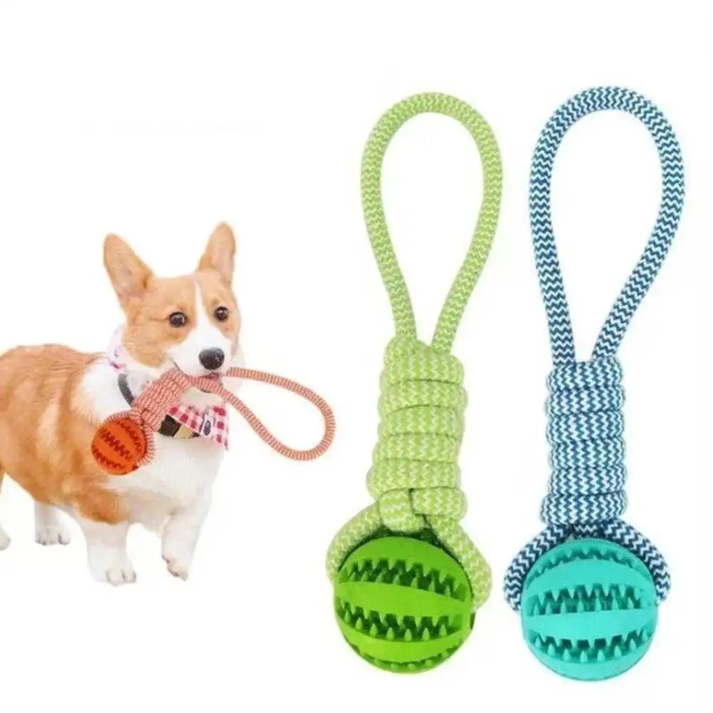 Dog Treat Ball Toy – Rubber Chew Rope Toy for Small & Medium Dogs, Teeth Cleaning