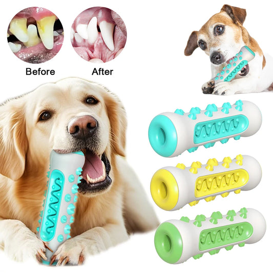 Large Dog Chew Toothbrush – Bite-Resistant Dental Toy for Puppies and Adults