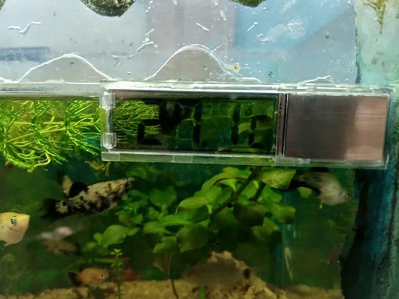 LCD Digital Aquarium Thermometer – Accurate Fish Tank Temperature Meter
