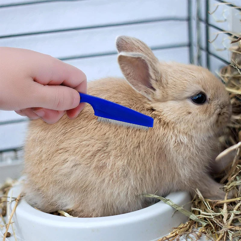 Rabbit Grooming Kit – Nail Clipper, Tear Stain Remover & Bath Brush for Small Pets