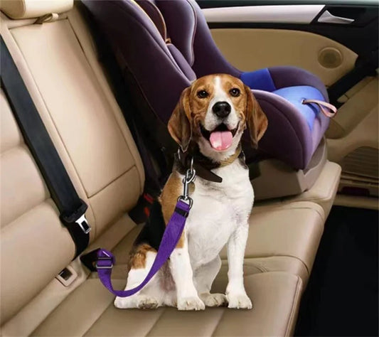 Pet Car Seat Belt - Adjustable Safety Harness for Dogs & Cats - The Best For Pets
