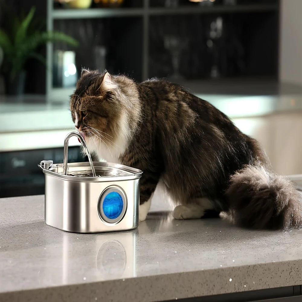3.2L Stainless Steel Pet Water Feeder – Smart Auto Dispenser with Window