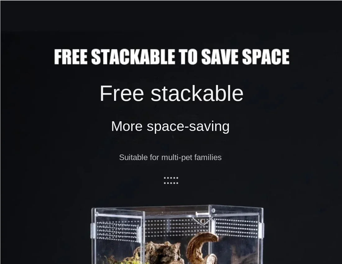 Acrylic Reptile Terrarium – Nano Breeding Box for Spider, Scorpion & Lizards