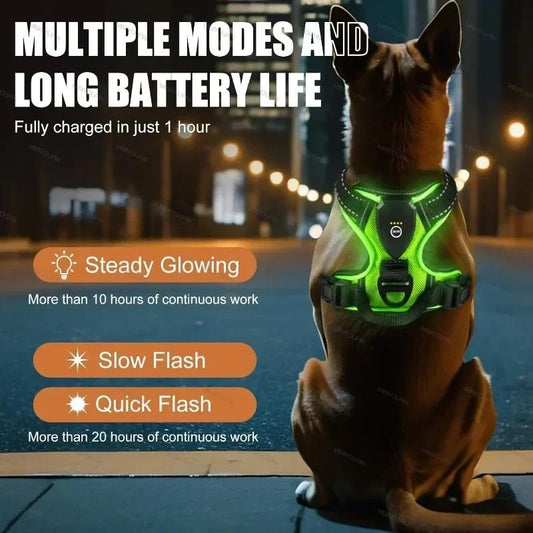 LED Luminous Dog Harness – No - Pull Adjustable Rechargeable Vest for Outdoor Walks - The Best For Pets