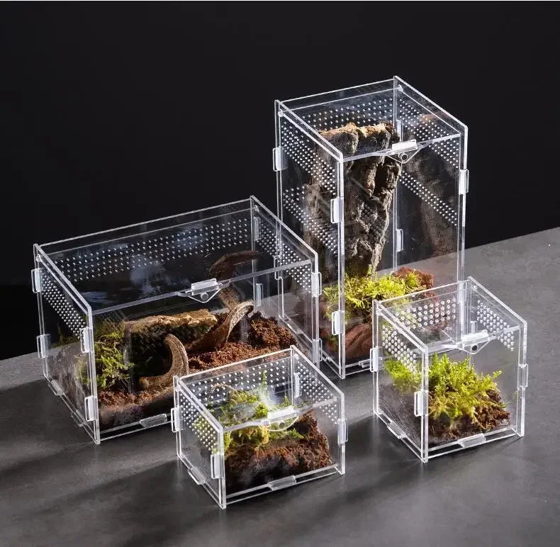 Acrylic Reptile Terrarium – Nano Breeding Box for Spider, Scorpion & Lizards