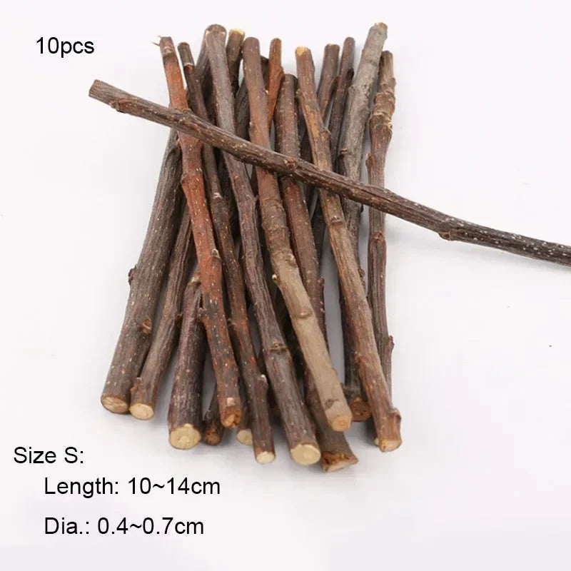 Apple Tree Chew Sticks – Natural Grinding Toys for Hamsters, Rabbits & Parrots