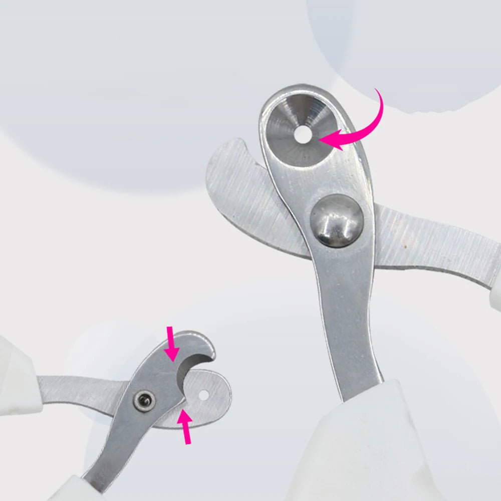 Small Pet Nail Clippers for Cats – Safe & Easy Trimming Tool