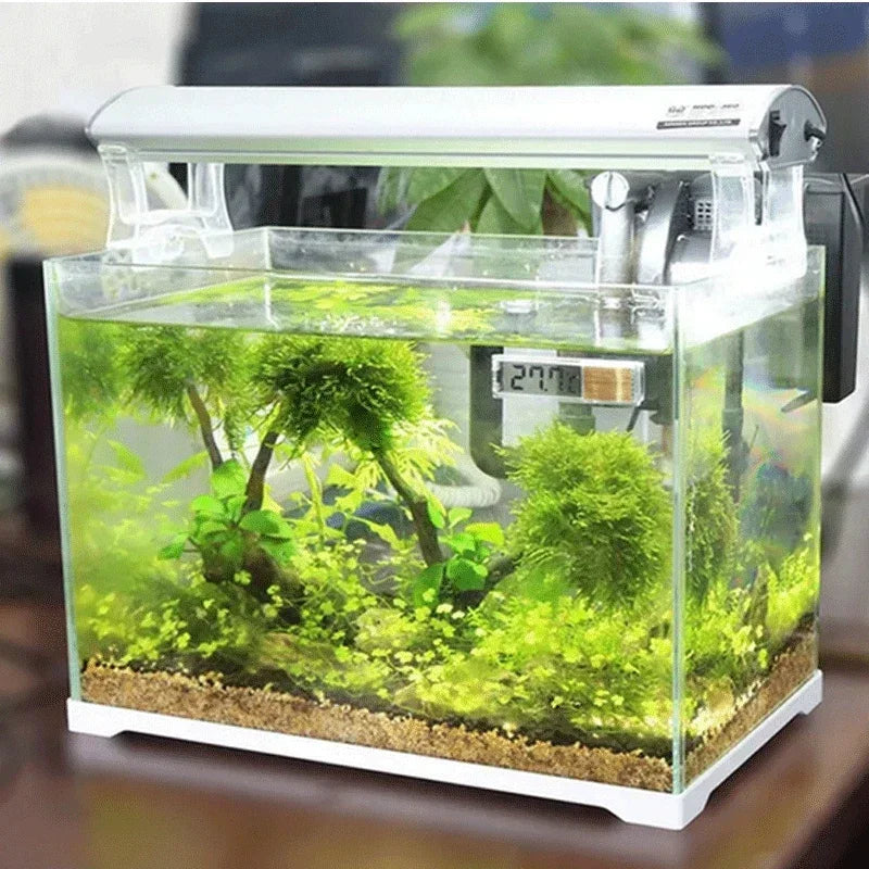 LCD Digital Aquarium Thermometer – Accurate Fish Tank Temperature Meter