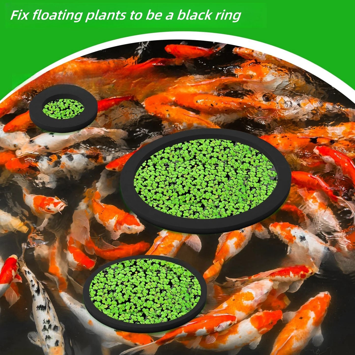 5pcs Floating Plant Rings – Fish Feeding & Grass Blockers for Aquarium