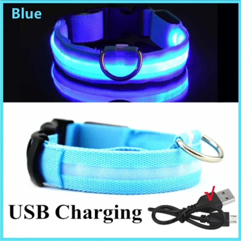 LED Dog Collar – USB Rechargeable Glow Collar with 3 Light Modes for Night Safety - The Best For Pets
