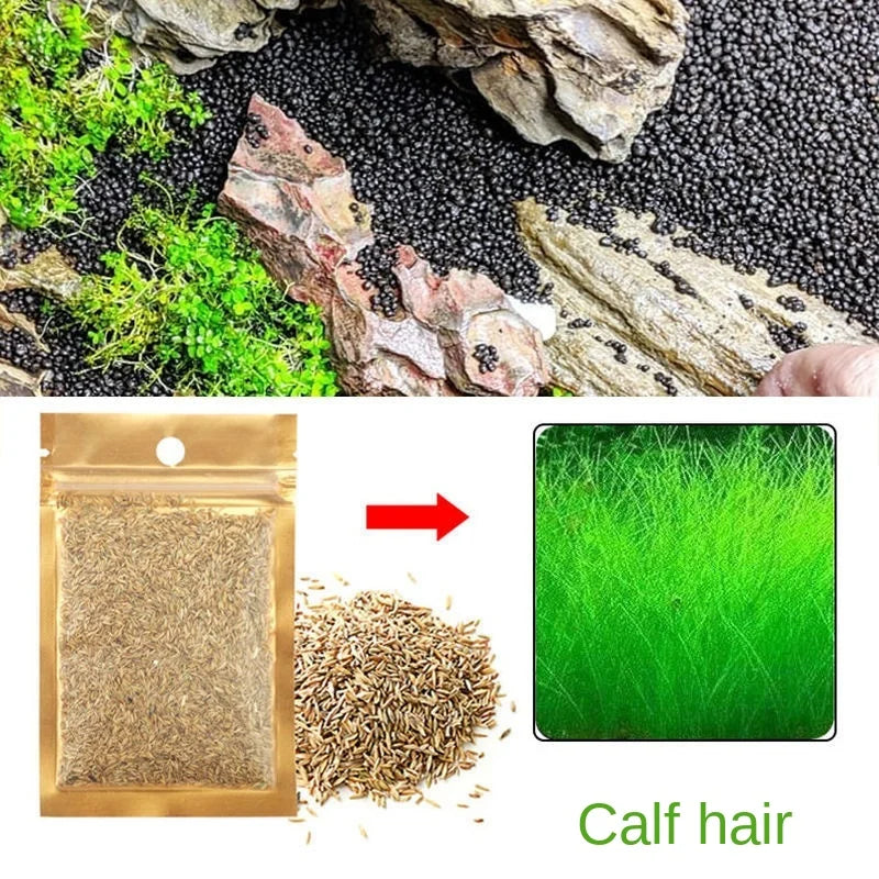 Aquarium Plant Soil – Fertile Substrate for Fish Tank Plants & Decor