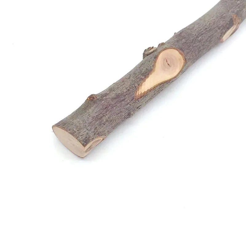 Natural Wood Branch Stand – Chew Toy Perch for Parrots, Hamsters & Birds