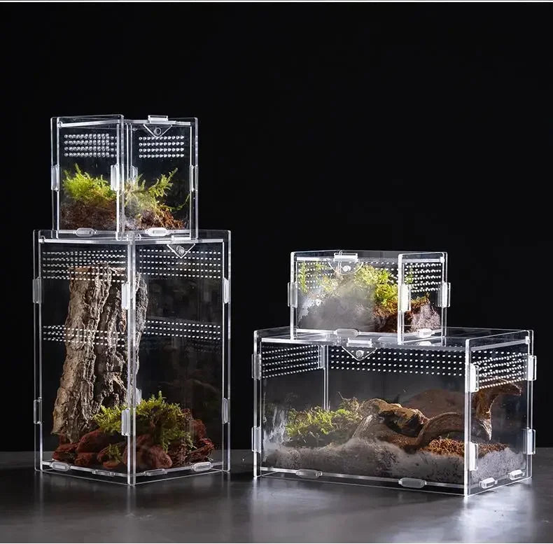 Acrylic Reptile Terrarium – Nano Breeding Box for Spider, Scorpion & Lizards