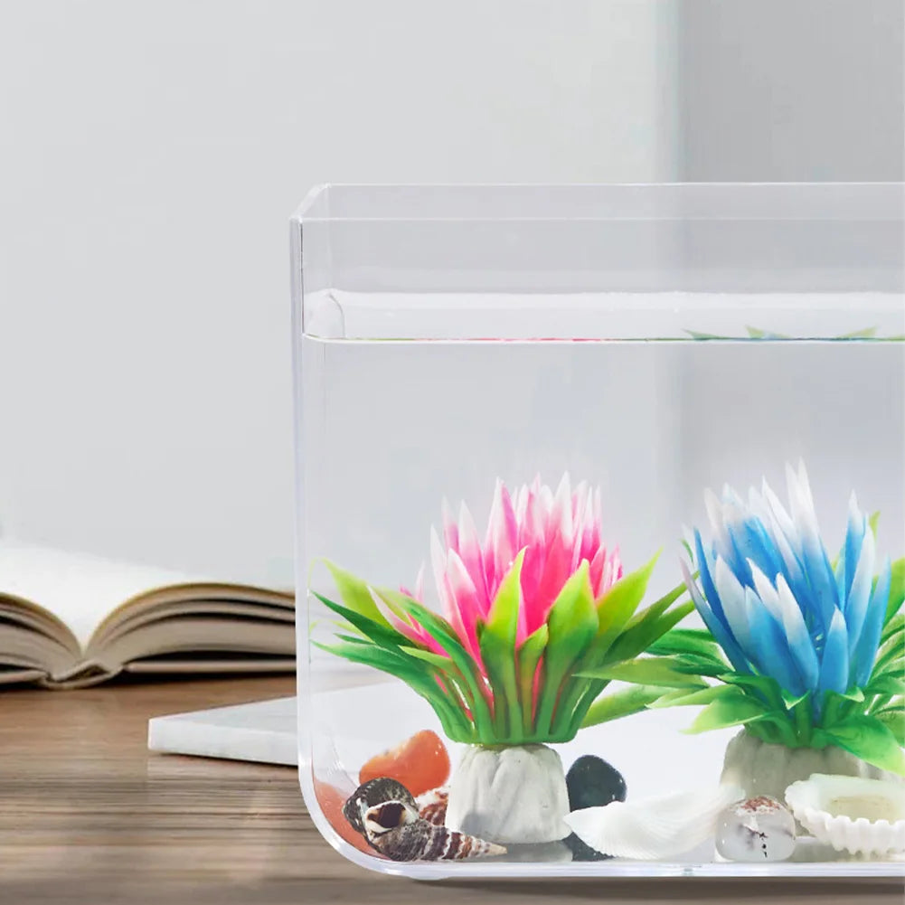 Aquarium Starter Kit – Square Tank with Clamp Light for Desk Decor