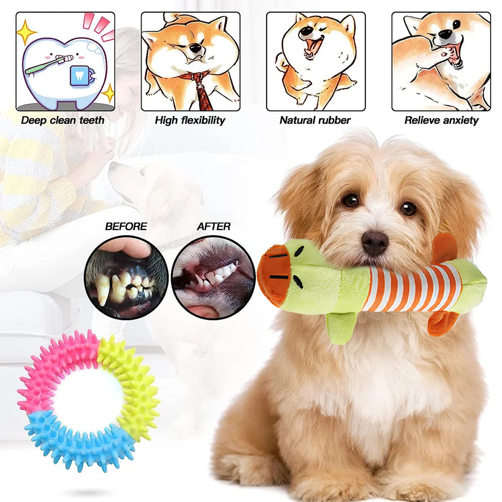 Dog Toy Set – Vibrant Chew & Squeaky Toys with Ropes for Teeth Cleaning & Play