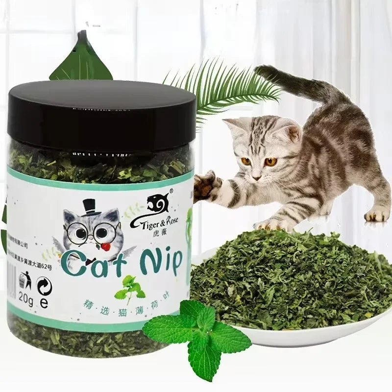 Organic Catnip – 100% Natural Cattle Grass Mint for Interactive Cat Play - The Best For Pets