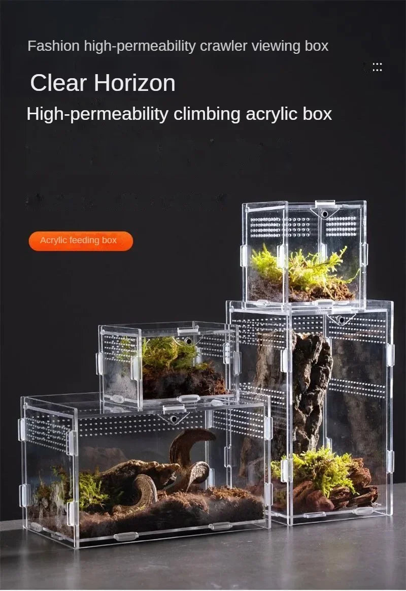 Acrylic Reptile Terrarium – Nano Breeding Box for Spider, Scorpion & Lizards