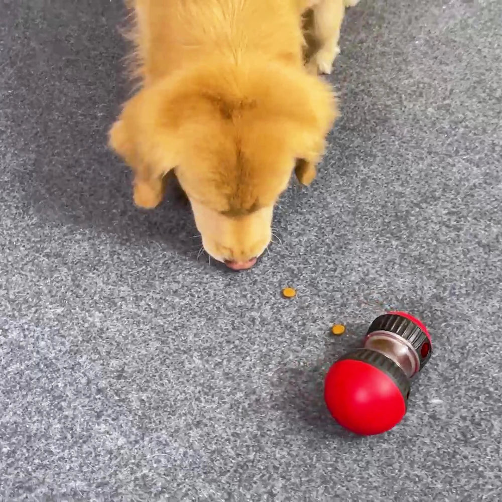 IQ Training Dog Toy – Slow Feeder for Small to Large Dogs, Indoor Puppy Toy