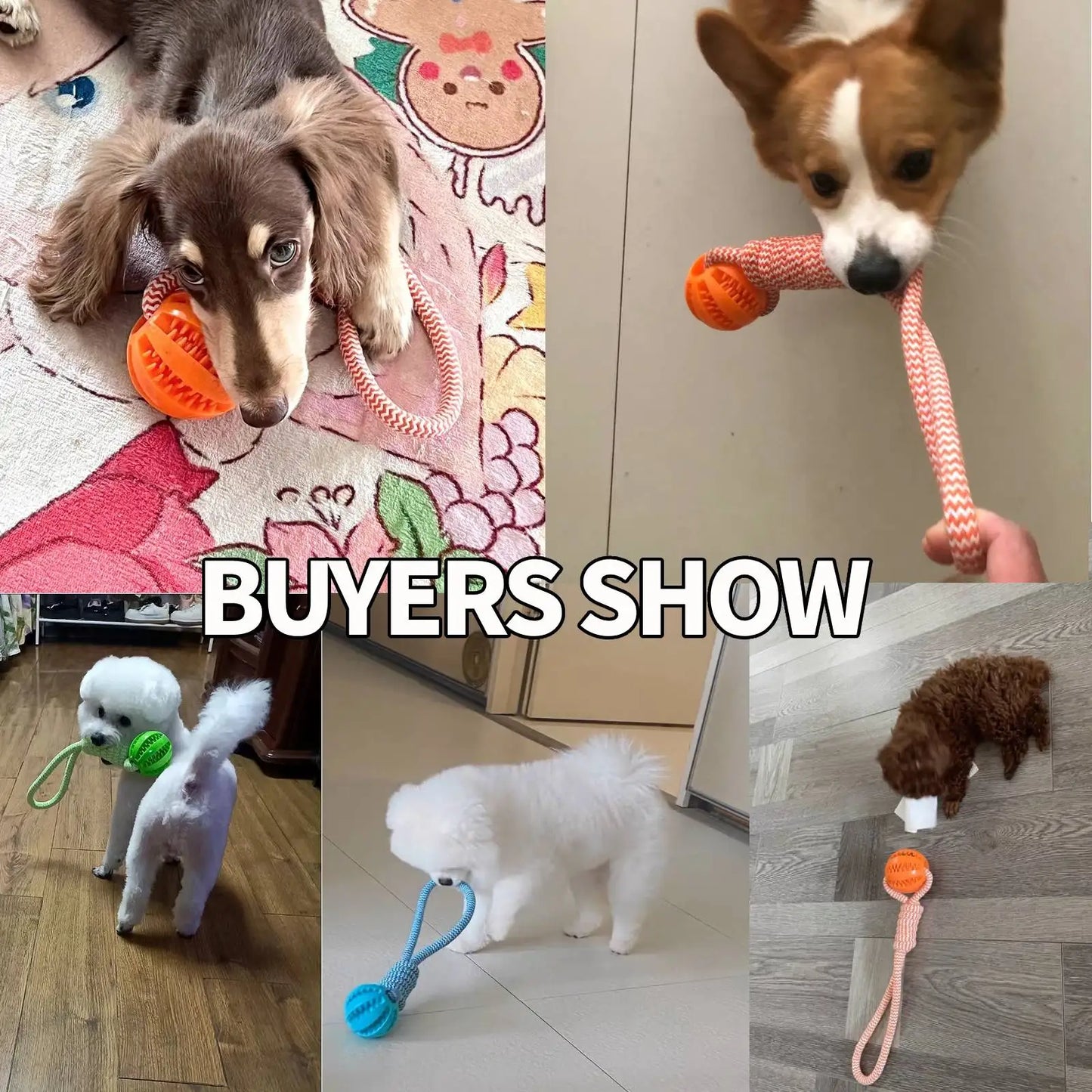 Dog Treat Ball Toy – Rubber Chew Rope Toy for Small & Medium Dogs, Teeth Cleaning