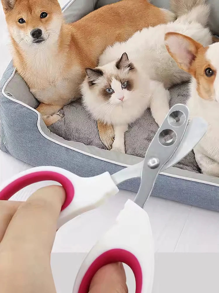 Small Pet Nail Clippers for Cats – Safe & Easy Trimming Tool