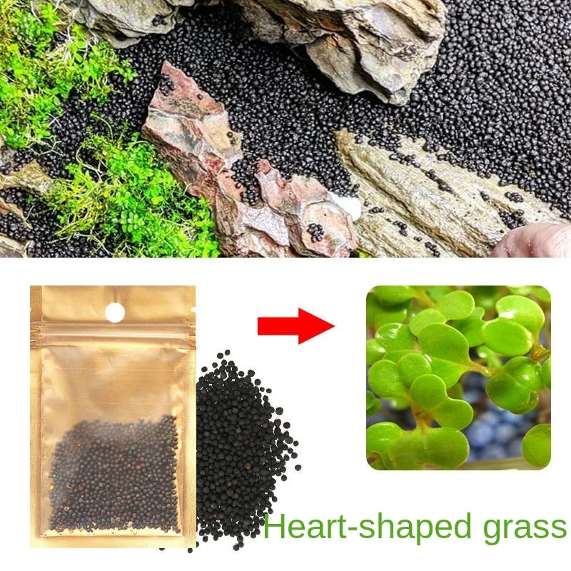 Aquarium Plant Soil – Fertile Substrate for Fish Tank Plants & Decor