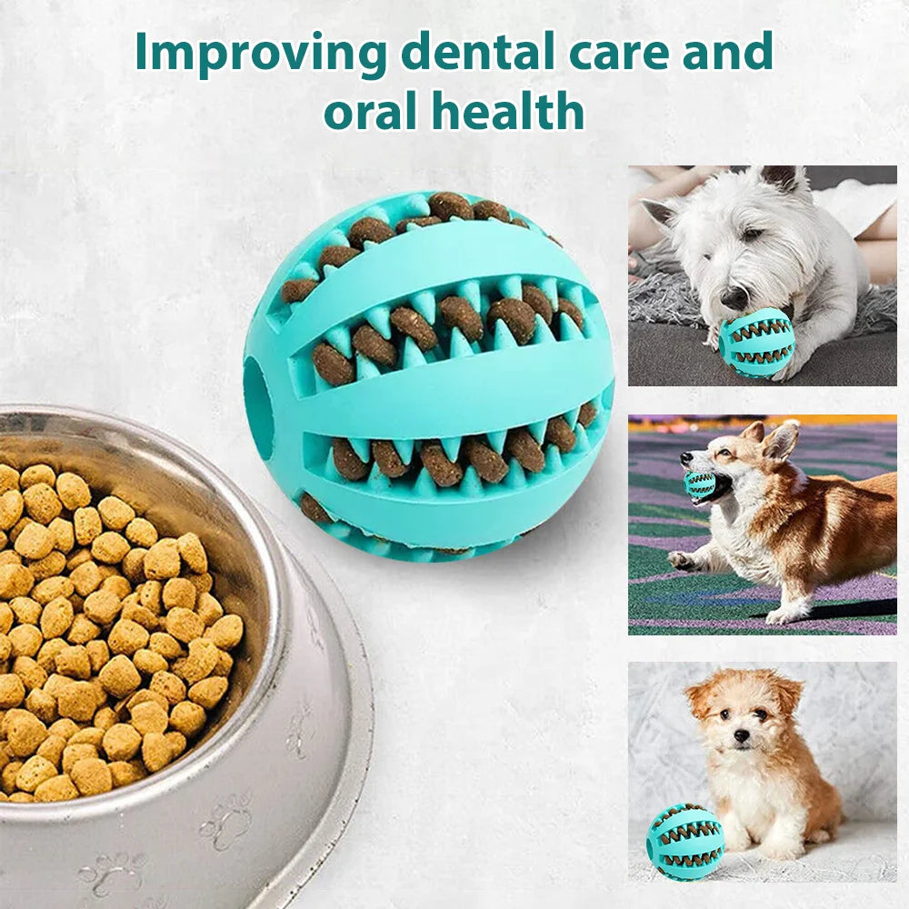 Dog Toy Set – Vibrant Chew & Squeaky Toys with Ropes for Teeth Cleaning & Play